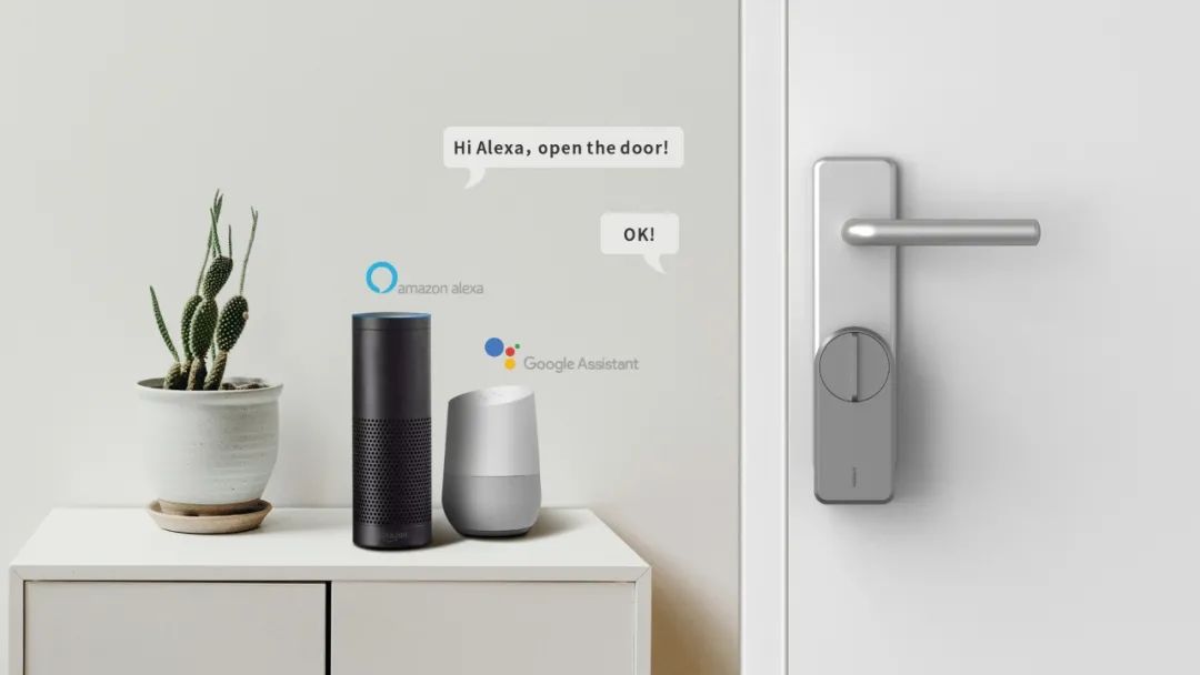 【智能锁与智能音箱配合使用】