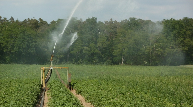 农业自动化系统，智慧农业大有可为