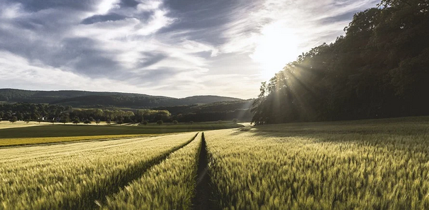 智慧农业沙盘怎样体现现代的智慧农业技术？